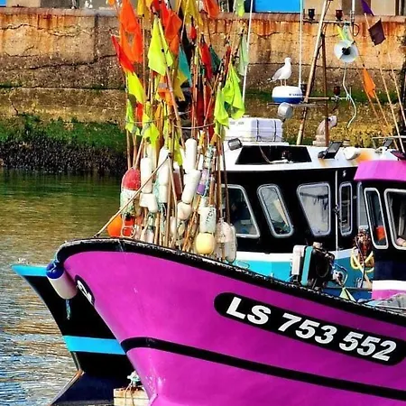 Charmante Maison Vendeenne * 莱萨布勒-多洛讷